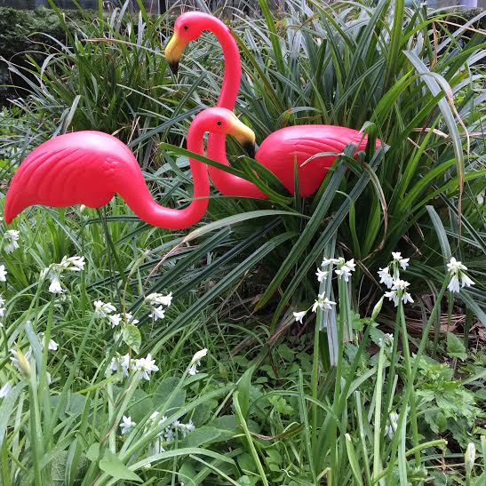 Temerity Jones flamingo garden ornaments buy online UK