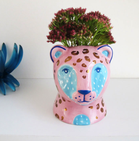 pink leopard planer bedroom plants