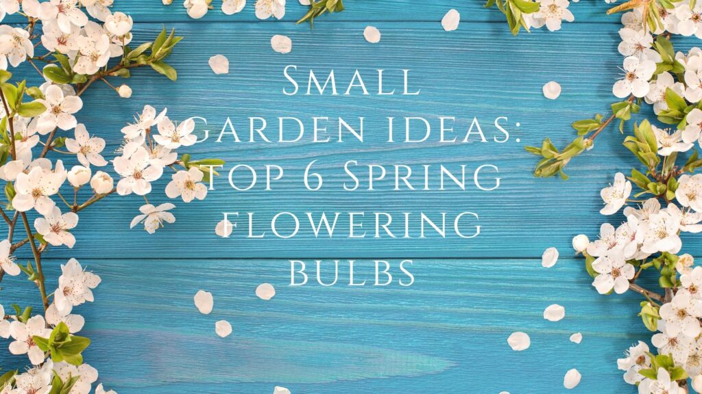 things to do in spring