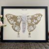 Retro Inspired Moth Print - Buy Online UK