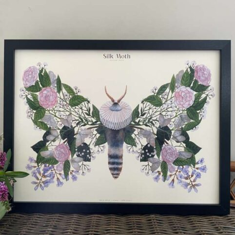Moth Art Print - Buy Online UK