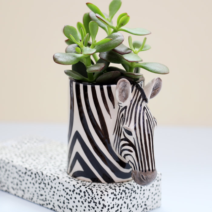 Quail Ceramics Pen Pot Zebra - Free Uk Delivery When You Buy Online UK