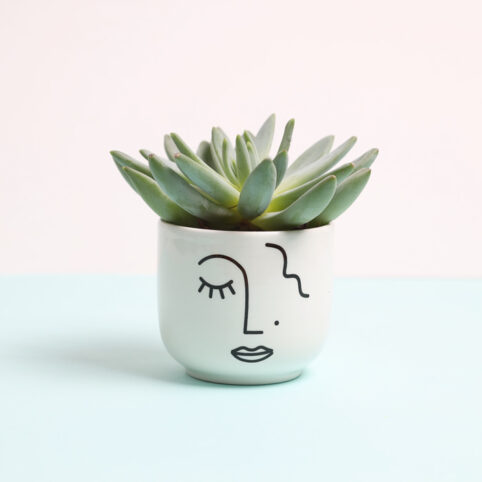 abstract face mini plant pot - buy online UK