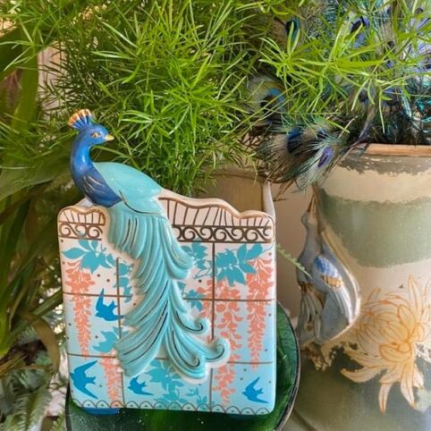 Peacock Planter House of Disaster - Buy Online UK