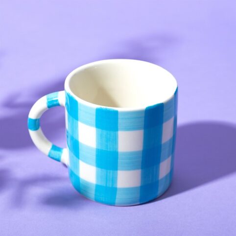 Blue Gingham Check Mug - Buy Online UK