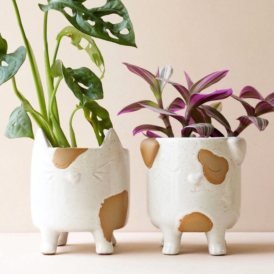 Animal Ceramic Planters - Small Size Buy Online UK