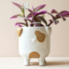 Ceramic Dog Planter - Buy online UK