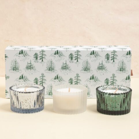 Cypress and Fir Candles Set Of 3 In Ribbed Glass Vessels - From Source Lifestyle