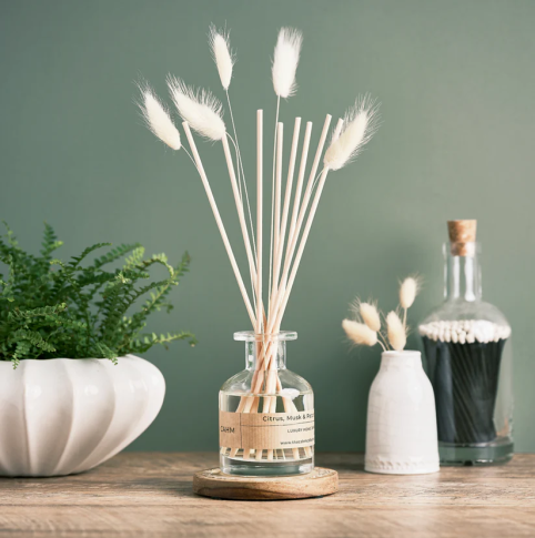 Citrus Musk & Patchouli Diffuser WiTh Bunny Tails - From Source Lifestyle