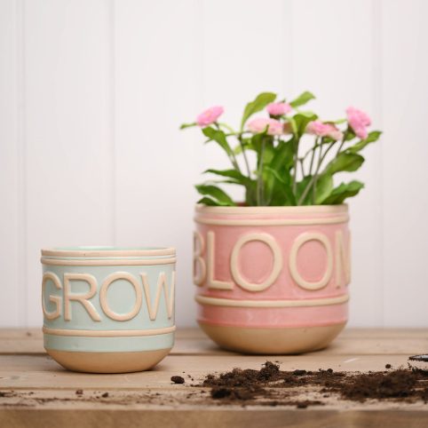 Bloom & Grow Plant Pots. The Bloom Is The Largest & Is A Lovely Pink & Grow Is In Blue & Smaller - From Source Lifestyle